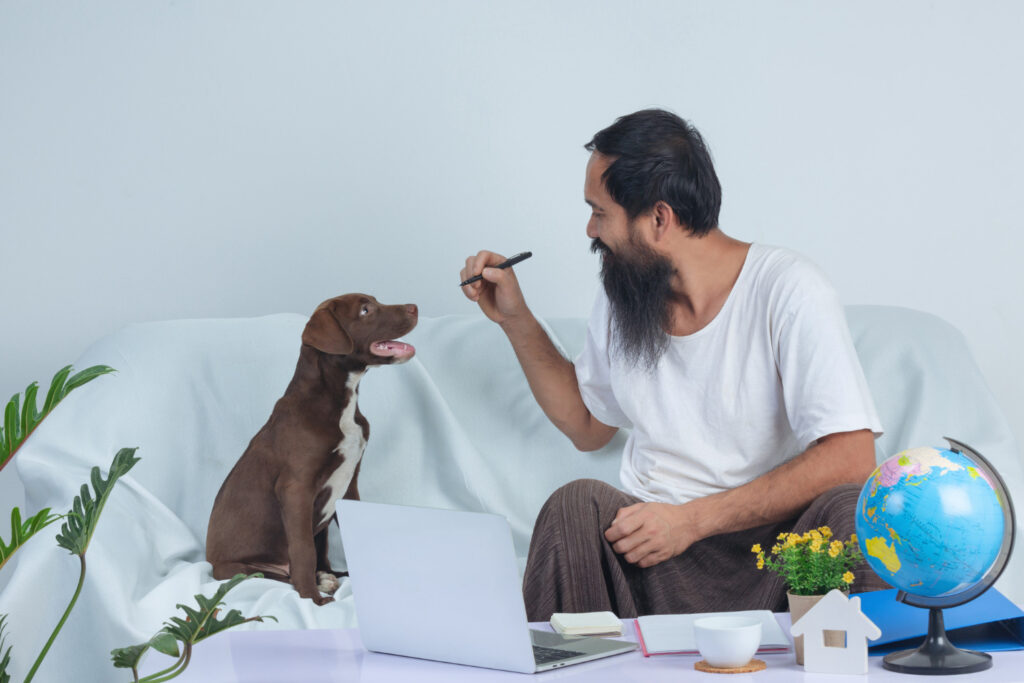 discounts in one for pet insurance